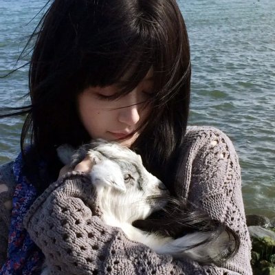 纸花海报