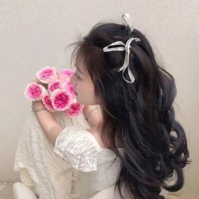 野性的冬天海报